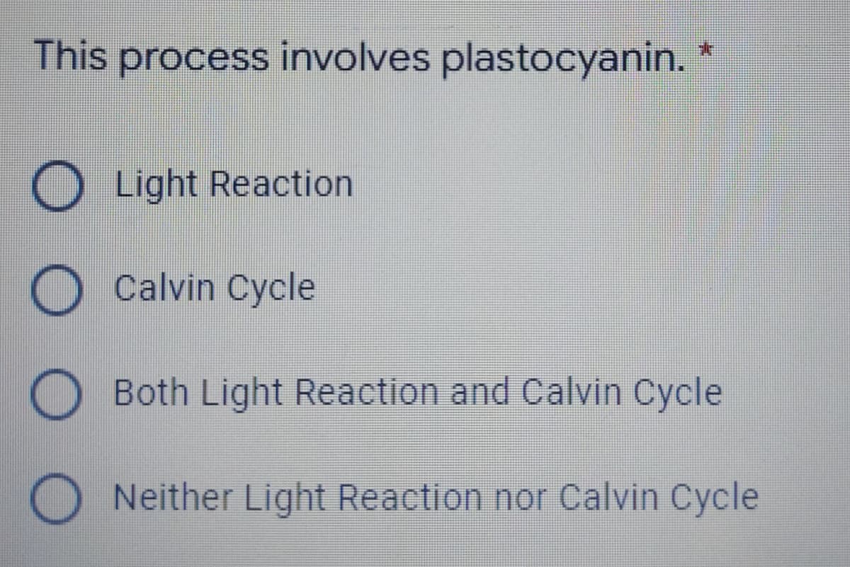 This process involves plastocyanin.
Light Reaction
O Calvin Cycle
O Both Light Reaction and Calvin Cycle
O Neither Light Reaction nor Calvin Cycle
