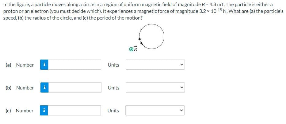 In the figure, a particle moves along a circle in a region of uniform magnetic field of magnitude B = 4.3 mT. The particle is either a
proton or an electron (you must decide which). It experiences a magnetic force of magnitude 3.2 × 10-15 N. What are (a) the particle's
speed, (b) the radius of the circle, and (c) the period of the motion?
(a) Number
IN
(b) Number i
(c) Number
Units
Units
Units
>
>