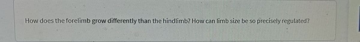 How does the forelimb grow differently than the hindlimb? How can limb size be so precisely regulated?