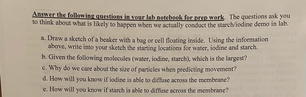 Answer the following questions in your lab notebook for prep work. The questions ask
you
to think about what is likely to happen when we actually conduct the starch/iodine demo in lab.
a. Draw a sketch of a beaker with a bag or cell floating inside. Using the information
above, write into your sketch the starting locations for water, iodine and starch.
b. Given the following molecules (water, iodine, starch), which is the largest?
c. Why do we care about the size of particles when predicting movement?
d. How will you know if iodine is able to diffuse across the membrane?
e. How will you know if starch is able to diffuse across the membrane?
