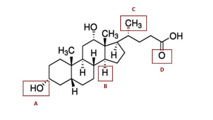 C
но
CH3
CH3
H3C
H
D
B
A
