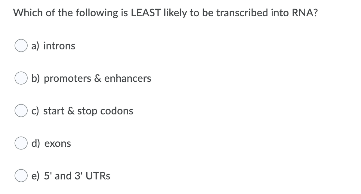 Which of the following is LEAST likely to be transcribed into RNA?
a) introns
b) promoters & enhancers
c) start & stop codons
d) exons
e) 5' and 3' UTRS
