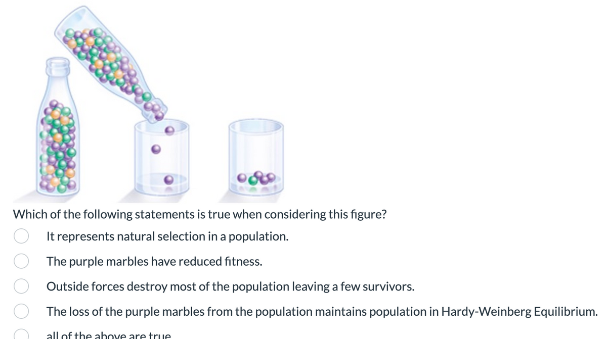 Which of the following statements is true when considering this figure?
It represents natural selection in a population.
The purple marbles have reduced fitness.
Outside forces destroy most of the population leaving a few survivors.
The loss of the purple marbles from the population maintains population in Hardy-Weinberg Equilibrium.
all of the ahove are true
