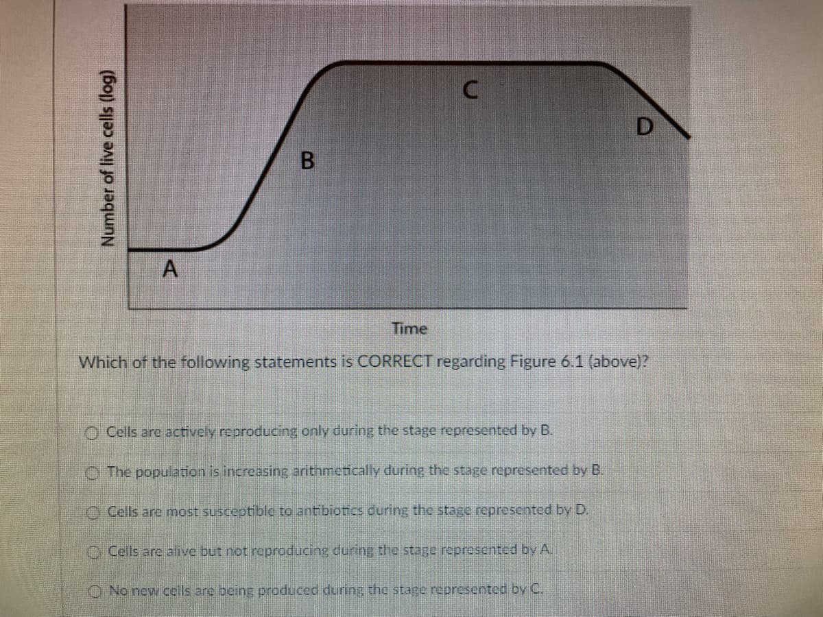 Number of live cells (log)
A
B
C
D
Time
Which of the following statements is CORRECT regarding Figure 6.1 (above)?
Cells are actively reproducing only during the stage represented by B.
The population is increasing arithmetically during the stage represented by B.
Cells are most susceptible to antibiotics during the stage represented by D.
Cells are alive but not reproducing during the stage represented by A.
No new cells are being produced during the stage represented by C.