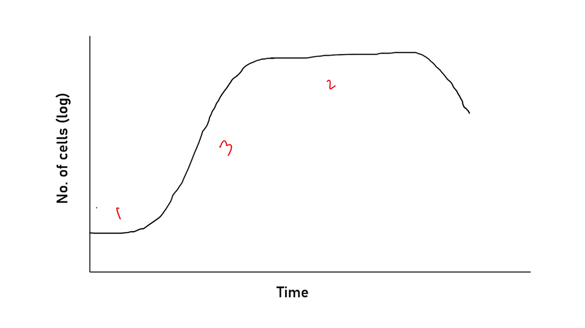 Time
No. of cells (log)
