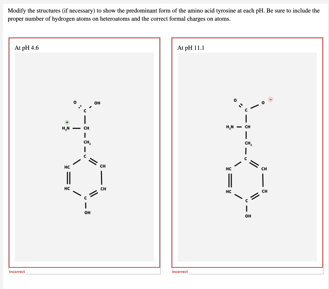 Modify the structures (if necessary) to show the predominant form of the amino acid tyrosine at each pH. Be sure to include the
proper number of hydrogen atoms on heteroatoms and the correct formal charges on atoms.
At pH 4.6
At pH 11.1
он
H,N - CH
H,N - CH
CH,
CH,
HC
CH
HC
CH
|
|
|
HC
CH
HC
CH
он
он
Incorrect
Incorrect
