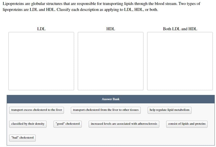 Lipoproteins are globular structures that are responsible for transporting lipids through the blood stream. Two types of
lipoproteins are LDL and HDL. Classify each description as applying to LDL, HDL, or both.
LDL
HDL
Both LDL and HDL
Answer Bank
transport excess cholesterol to the liver
transport cholesterol from the liver to other tissues
classified by their density
"bad" cholesterol
"good" cholesterol
help regulate lipid metabolism
increased levels are associated with atherosclerosis
consist of lipids and proteins