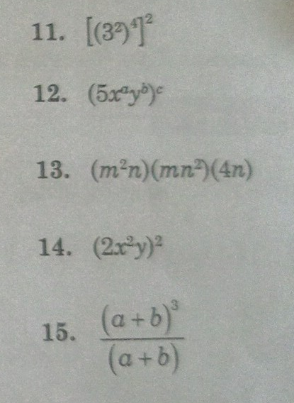 11. [(39)¹]²
12 (5xăngày
13. (m²n)(mn)(4n)
14. (2x²y)²
15. (a+b)³
(a+b)