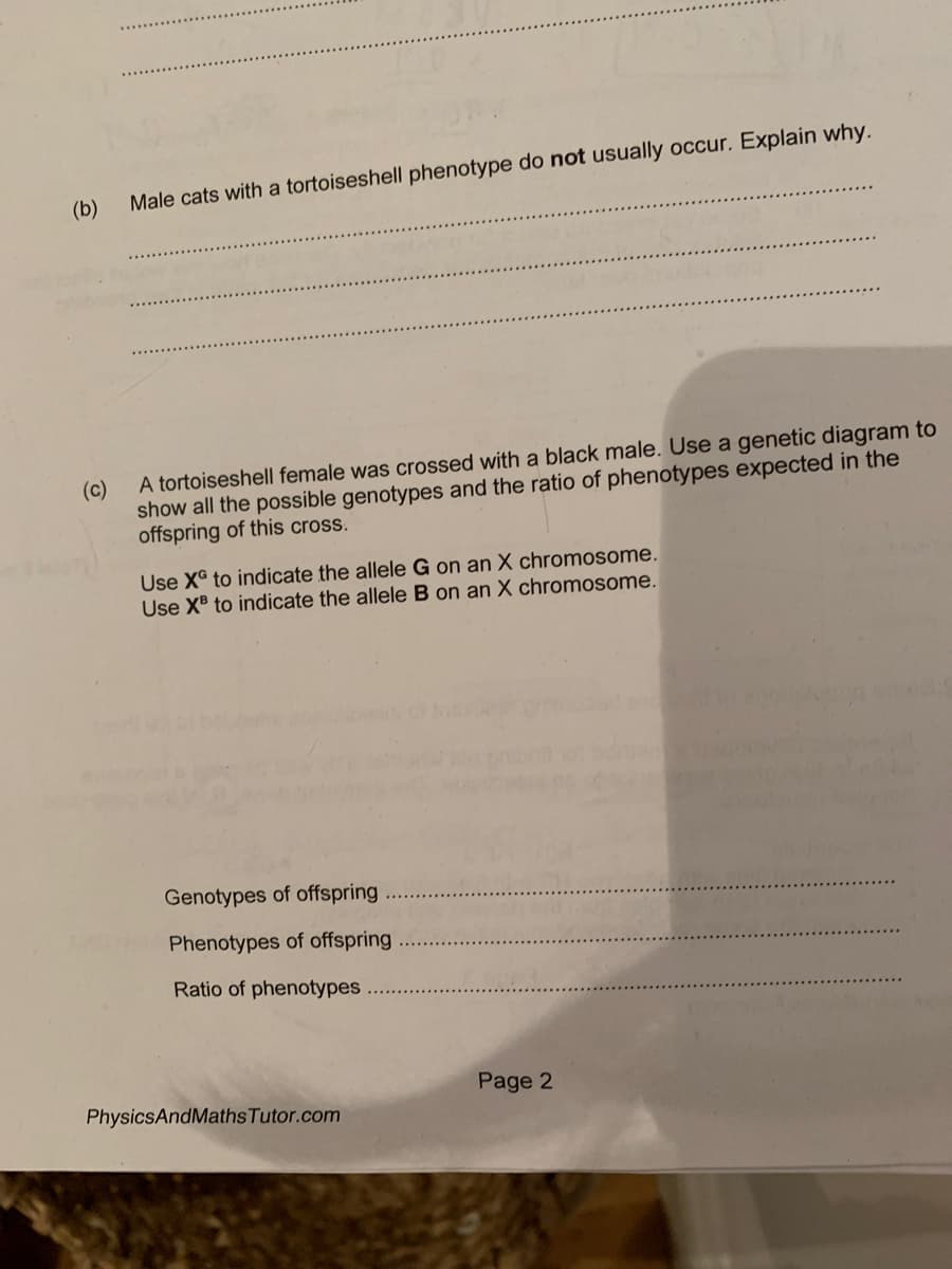 (b)
Male cats with a tortoiseshell phenotype do not usually occur. Explain why.
A tortoiseshell female was crossed with a black male. Use a genetic diagram to
(c)
show all the possible genotypes and the ratio of phenotypes expected in the
offspring of this cross.
Use X to indicate the allele G on an X chromosome.
Use XB to indicate the allele B on an X chromosome.
Genotypes of offspring
Phenotypes of offspring
Ratio of phenotypes
Page 2
PhysicsAndMaths Tutor.com
