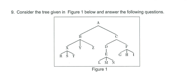 9. Consider the tree given in Figure 1 below and answer the following questions.
B.
R.
L M N
Figure 1
