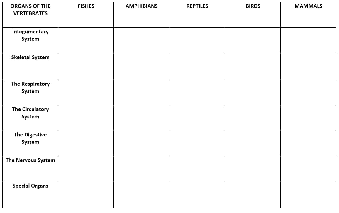 ORGANS OF THE
VERTEBRATES
Integumentary
System
Skeletal System
The Respiratory
System
The Circulatory
System
The Digestive
System
The Nervous System
Special Organs
FISHES
AMPHIBIANS
REPTILES
BIRDS
MAMMALS