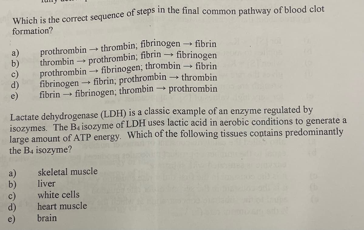 Which is the correct sequence of steps m tne final common pathway of blood clot
formation?
prothrombin
thrombin
thrombin; fibrinogen → fibrin
fibrinogen
a)
>
prothrombin; fibrin
prothrombin → fibrinogen; thrombin
fibrin; prothrombin
fibrinogen; thrombin
>
fibrinogen
fibrin
fibrin
→ thrombin
→ prothrombin
e)
Lactate dehydrogenase (LDH) is a classic example of an enzyme regulated by
isozymes. The B4 isozyme of LDH uses lactic acid in aerobic conditions to generate a
large amount of ATP energy. Which of the following tissues contains predominantly
the B4 isozyme?
skeletal muscle
b)
liver
white cells
heart muscle
e)
brain
