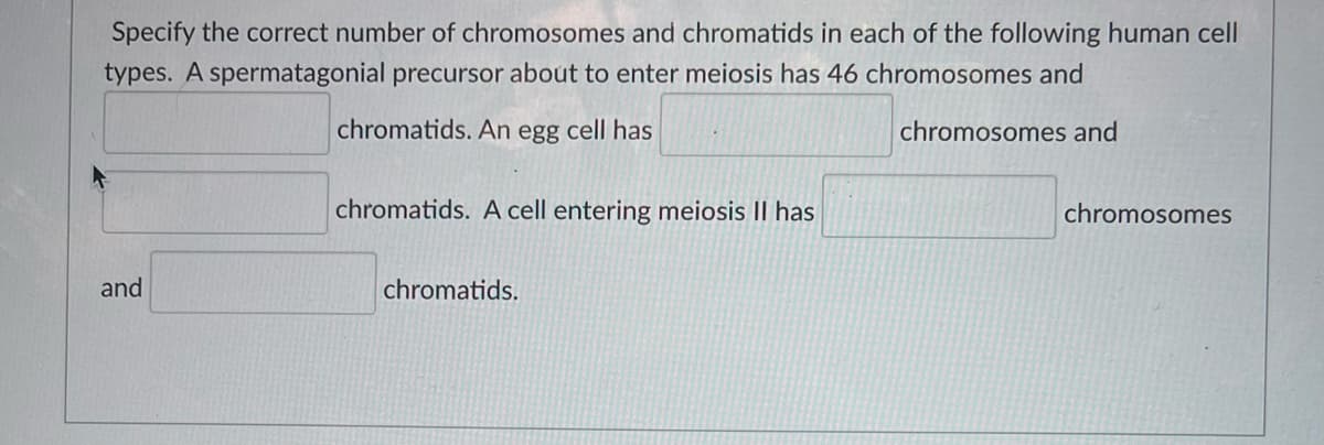 Specify the correct number of chromosomes and chromatids in each of the following human cell
types. A spermatagonial precursor about to enter meiosis has 46 chromosomes and
chromatids. An egg cell has
chromosomes and
chromatids. A cell entering meiosis II has
chromosomes
and
chromatids.
