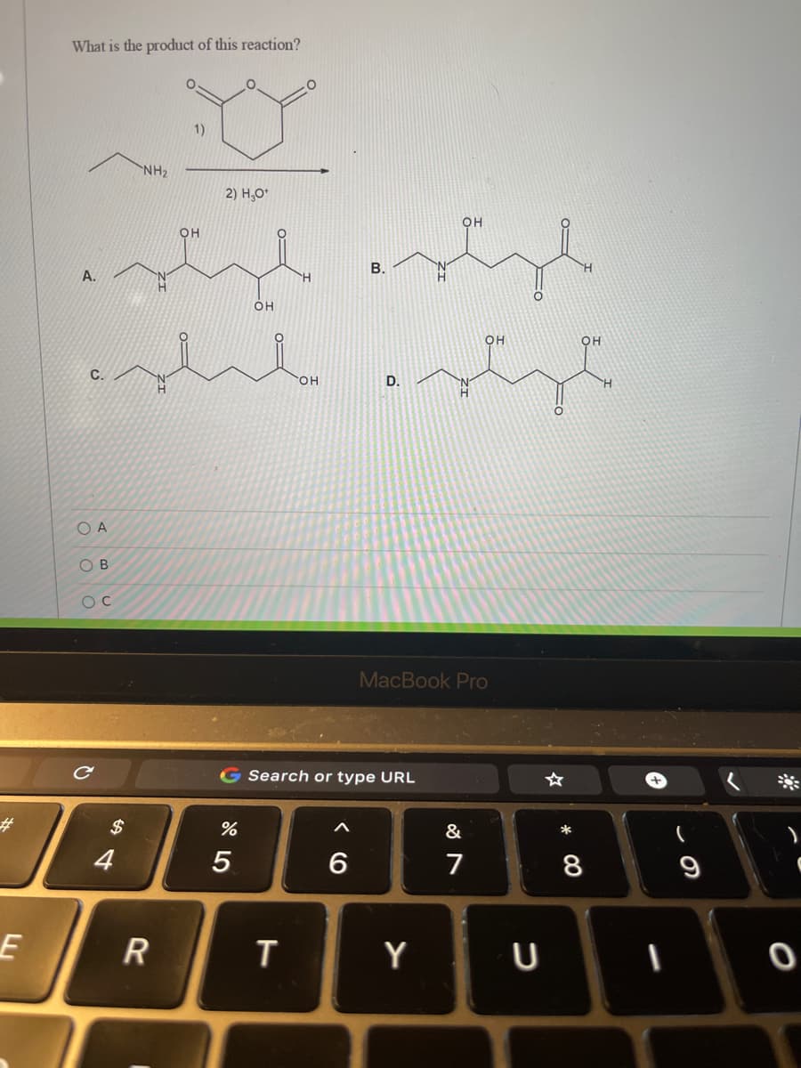 What is the product of this reaction?
NH2
2) H,0*
OH
B.
A.
OH
CHO.
D.
O A
OB
MacBook Pro
G Search or type URL
$
&
%23
4
5
6
7
8
R
T
Y
U
