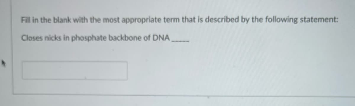 Fill in the blank with the most appropriate term that is described by the following statement:
Closes nicks in phosphate backbone of DNA,
