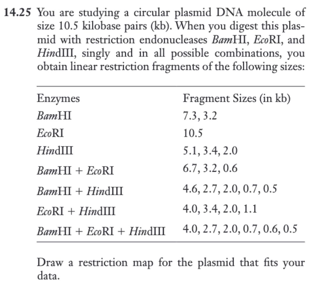 14.25 You are studying a circular plasmid DNA molecule of
size 10.5 kilobase pairs (kb). When you digest this plas-
mid with restriction endonucleases BamHI, EcoRI, and
HindIII, singly and in all possible combinations, you
obtain linear restriction fragments of the following sizes:
Enzymes
BamHI
EcoRI
HindIII
BamHI + EcoRI
BamHI + HindIII
EcoRI + HindIII
BamHI + EcoRI + HindIII
Fragment Sizes (in kb)
7.3, 3.2
10.5
5.1, 3.4, 2.0
6.7, 3.2, 0.6
4.6, 2.7, 2.0, 0.7, 0.5
4.0, 3.4, 2.0, 1.1
4.0, 2.7, 2.0, 0.7, 0.6, 0.5
Draw a restriction map for the plasmid that fits your
data.