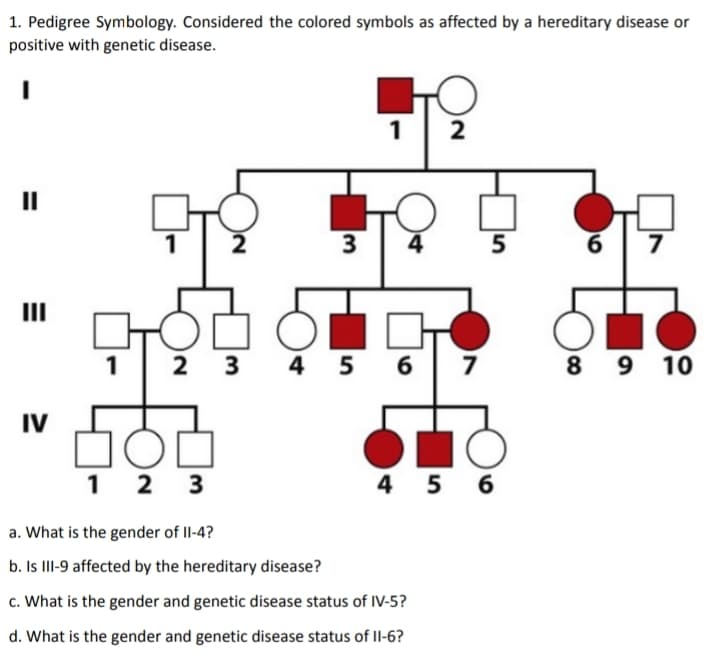 1. Pedigree Symbology. Considered the colored symbols as affected by a hereditary disease or
positive with genetic disease.
1
2
II
2
3
4
5
6.
7
II
TO
1
2 3
4 5 6
7
8 9 10
IV
1 2 3
4 5 6
a. What is the gender of II-4?
b. Is II-9 affected by the hereditary disease?
c. What is the gender and genetic disease status of IV-5?
d. What is the gender and genetic disease status of Il-6?
