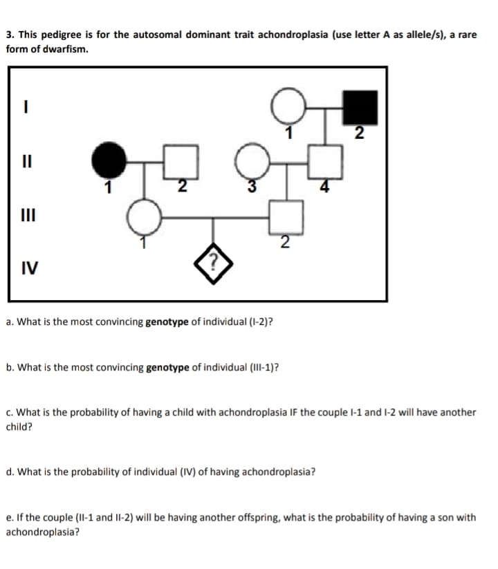 3. This pedigree is for the autosomal dominant trait achondroplasia (use letter A as allele/s), a rare
form of dwarfism.
II
2
II
IV
a. What is the most convincing genotype of individual (I-2)?
b. What is the most convincing genotype of individual (II-1)?
c. What is the probability of having a child with achondroplasia IF the couple l-1 and I-2 will have another
child?
d. What is the probability of individual (IV) of having achondroplasia?
e. If the couple (II-1 and II-2) will be having another offspring, what is the probability of having a son with
achondroplasia?
2.
