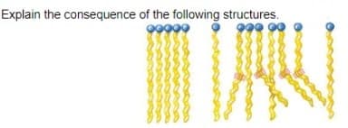 Explain the consequence of the following structures.
