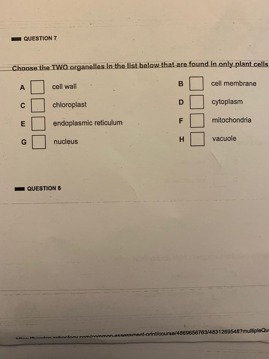 QUESTION 7
Choose the TWO organelles in the list below that are found in only plant cells
cell membrane
A
cell wall
C
chloroplast
cytoplasm
mitochondria
endoplasmic reticulum
G
nucleus
H.
vačuole
QUESTION 8
Lunnillhonrinm enhnolas com/common-assessment-print/course/4869656763/4831269548?multipleQu
