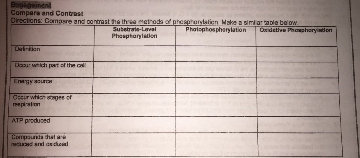 Engagement
Compare and Contrast
Directions: Compare and contrast the three methods of phosphorylation. Make a similar table below.
Substrate-Level
Phosphorylation
Photophosphorylation
Oxidative Phosphorylation
Definition
Occur which part of the cell
Energy source
Occur which stages of
respiration
ATP produced
Compounds that are
reduced and oxidized
