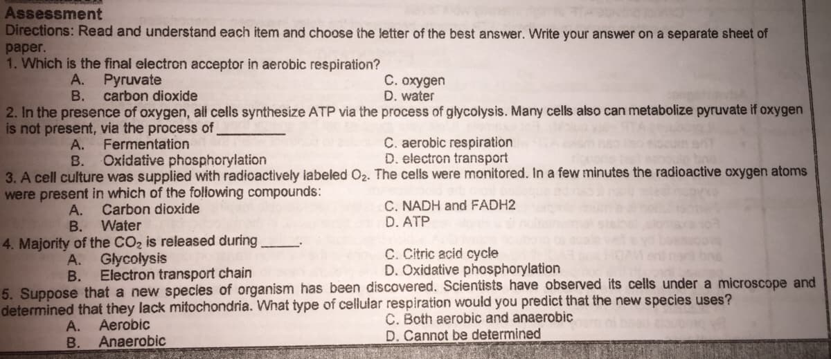 Assessment
Directions: Read and understand each item and choose the letter of the best answer. Write your answer on a separate sheet of
paper.
1. Which is the final electron acceptor in aerobic respiration?
А.
Pyruvate
C. oxygen
D. water
В.
carbon dioxide
2. In the presence of oxygen, all cells synthesize ATP via the process of glycolysis. Many cells also can metabolize pyruvate if oxygen
is not present, via the process of,
C. aerobic respiration
D. electron transport
А.
Fermentation
В.
Oxidative phosphorylation
3. A cell culture was supplied with radioactively iabeled O2. The cells were monitored. In a few minutes the radioactive oxygen atoms
were present in which of the following compounds:
C. NADH and FADH2
D. ATP
А.
Carbon dioxide
B. Water
4. Majority of the CO2 is released during
C. Citric acid cycle
D. Oxidative phosphorylation
A.
Glycolysis
В.
Electron transport chain
5. Suppose that a new specles of organism has been discovered. Scientists have observed its cells under a microscope and
determined that they lack mitochondria. What type of cellular respiration would you predict that the new species uses?
А.
Áerobic
В.
Anaerobic
C. Both aerobic and anaerobic
D. Cannot be determined
