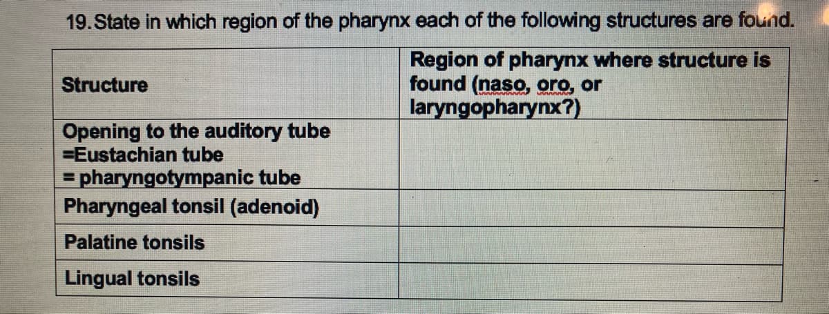 19. State in which region of the pharynx each of the following structures are found.
Region of pharynx where structure is
found (naso, oro, or
laryngopharynx?)
Structure
Opening to the auditory tube
=Eustachian tube
=pharyngotympanic tube
Pharyngeal tonsil (adenoid)
Palatine tonsils
Lingual tonsils