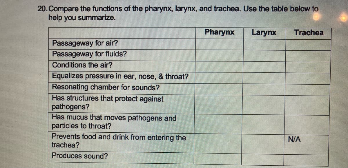 20. Compare the functions of the pharynx, larynx, and trachea. Use the table below to
help you summarize.
Passageway for air?
Passageway for fluids?
Conditions the air?
Equalizes pressure in ear, nose, & throat?
Resonating chamber for sounds?
Has structures that protect against
pathogens?
Has mucus that moves pathogens and
particles to throat?
Prevents food and drink from entering the
trachea?
Produces sound?
Pharynx
Larynx
Trachea
N/A