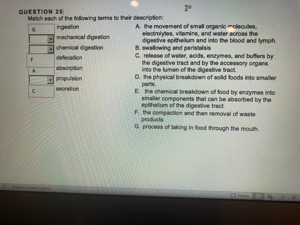 IX
QUESTION 25
Match each of the following terms to their description:
ingestion
G
mechanical digestion
chemical digestion
defecation
absorption
propulsion
secretion
F
A
C
English (United States)
A. the movement of small organic molecules,
electrolytes, vitamins, and water across the
digestive epithelium and into the blood and lymph.
B. swallowing and peristalsis
C. release of water, acids, enzymes, and buffers by
the digestive tract and by the accessory organs
into the lumen of the digestive tract.
D. the physical breakdown of solid foods into smaller
parts.
E. the chemical breakdown of food by enzymes into
smaller components that can be absorbed by the
epithelium of the digestive tract
F. the compaction and then removal of waste
products
G. process of taking in food through the mouth.
MacBook Air
Focus
R
