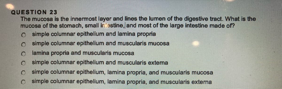 QUESTION 23
The mucosa is the innermost layer and lines the lumen of the digestive tract. What is the
mucosa of the stomach, small intestine, and most of the large intestine made of?
simple columnar epithelium and lamina propria
O simple columnar epithelium and muscularis mucosa
Olamina propria and muscularis mucosa
O simple columnar epithelium and muscularis externa
O simple columnar epithelium, lamina propria, and muscularis mucosa
Osimple columnar epithelium, lamina propria, and muscularis externa