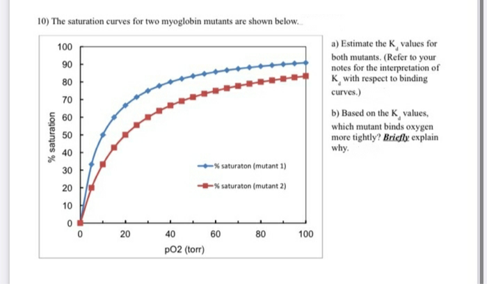 10) The saturation curves for two myoglobin mutants are shown below.
a) Estimate the K, values for
both mutants. (Refer to your
notes for the interpretation of
K with respect to binding
100
90
80
curves.)
70
b) Based on the K, values,
which mutant binds oxygen
more tightly? Briefle explain
why.
60
50
40
30
-% saturaton (mutant 1)
20
+* saturaton (mutant 2)
10
20
40
60
80
100
pO2 (torr)
% saturation
