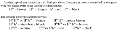 Another type of non-mendelian trait: Multiple alleles. Human hair color is controlled by one gene
with four alleles (with some incomplete dominance):
HB = brown Hd = blonde h* = red h* = black
The possible genotypes and phenotypes:
H*H or Hh* = blonde
H*h* = strawberry blonde
H'h* = auburn
HH = mousy brown
H"H" or H" h = brown
h*h* = black
h*h* or h*h* = red
