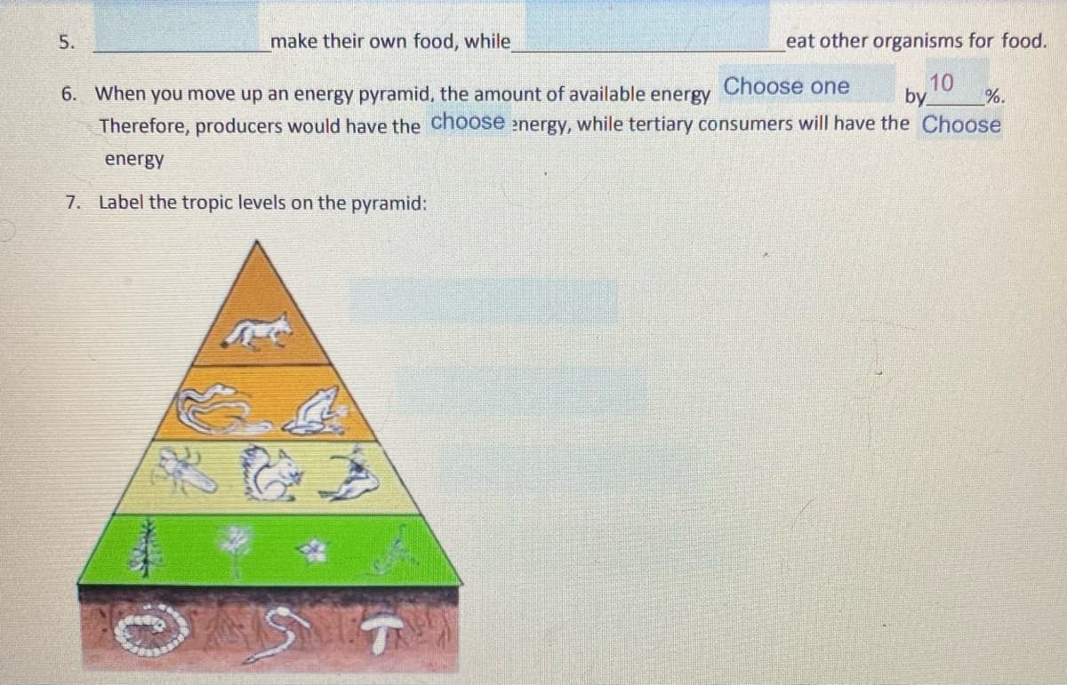 5.
make their own food, while
eat other organisms for food.
6. When you move up an energy pyramid, the amount of available
Choose one
by
10
%.
energy
Therefore, producers would have the choose energy, while tertiary consumers will have the Choose
energy
7. Label the tropic levels on the pyramid:

