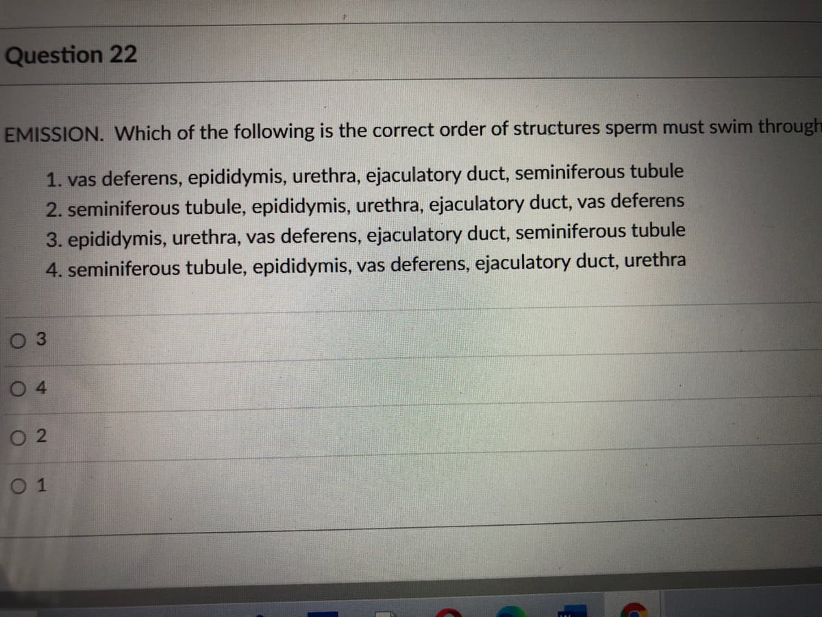 Question 22
EMISSION. VWhich of the following is the correct order of structures sperm must swim through
1. vas deferens, epididymis, urethra, ejaculatory duct, seminiferous tubule
2. seminiferous tubule, epididymis, urethra, ejaculatory duct, vas deferens
3. epididymis, urethra, vas deferens, ejaculatory duct, seminiferous tubule
4. seminiferous tubule, epididymis, vas deferens, ejaculatory duct, urethra
O 3
O 4
O 2
0 1
