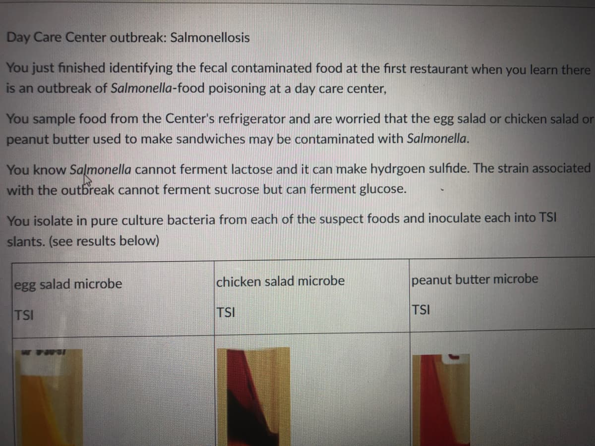 Day Care Center outbreak: Salmonellosis
You just finished identifying the fecal contaminated food at the first restaurant when you learn there
is an outbreak of Salmonella-food poisoning at a day care center,
You sample food from the Center's refrigerator and are worried that the egg salad or chicken salad or
peanut butter used to make sandwiches may be contaminated with Salmonella.
You know Salmonella cannot ferment lactose and it can make hydrgoen sulfide. The strain associated
with the outbreak cannot ferment sucrose but can ferment glucose.
You isolate in pure culture bacteria from each of the suspect foods and inoculate each into TSI
slants. (see results below)
egg salad microbe
chicken salad microbe
peanut butter microbe
TSI
TSI
TSI
W FWS
