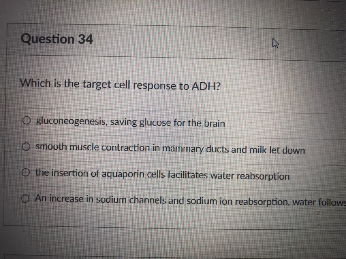 Question 34
Which is the target cell response to ADH?
O gluconeogenesis, saving glucose for the brain
smooth muscle contraction in mammary ducts and milk let down
O the insertion of aquaporin cells facilitates water reabsorption
An increase in sodium channels and sodium ion reabsorption, water follows

