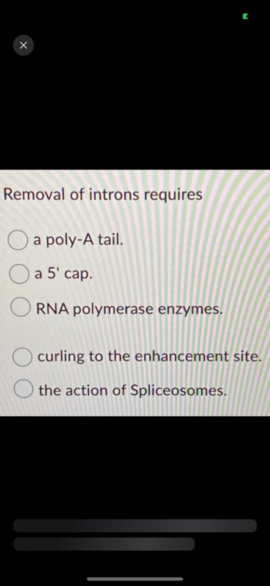 X
Removal of introns requires
a poly-A tail.
a 5' cap.
RNA polymerase enzymes.
curling to the enhancement site.
the action of Spliceosomes.