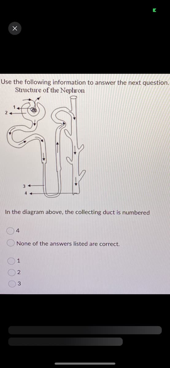 x
Use the following information to answer the next question.
Structure of the Nephron
2
In the diagram above, the collecting duct is numbered
4
34
None of the answers listed are correct.
1