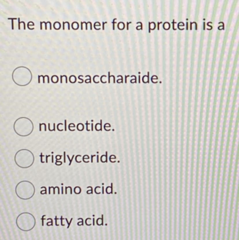 The monomer for a protein is a
Omonosaccharaide.
nucleotide.
O triglyceride.
amino acid.
fatty acid.