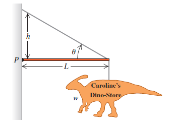 P
h
L
W
Caroline's
Dino-Store
s