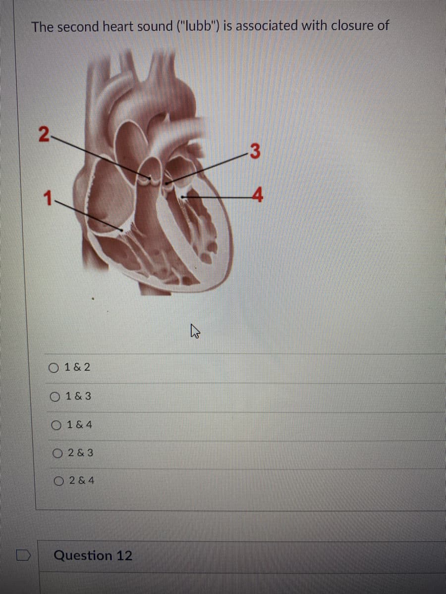 The second heart sound ("lubb") is associated with closure of
1-
O 1 & 2
O 1 & 3
O 1 & 4
O 2 & 3
O 2 & 4
Question 12
