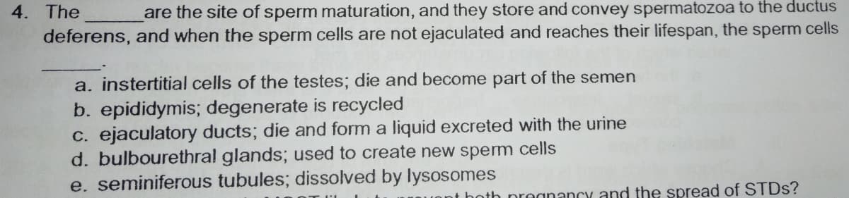 are the site of sperm maturation, and they store and convey spermatozoa to the ductus
deferens, and when the sperm cells are not ejaculated and reaches their lifespan, the sperm cells
4. The
a. instertitial cells of the testes; die and become part of the semen
b. epididymis; degenerate is recycled
C. ejaculatory ducts; die and form a liquid excreted with the urine
d. bulbourethral glands; used to create new sperm cells
e. seminiferous tubules; dissolved by lysosomes
nt hoth proanancy and the spread of STDS?
