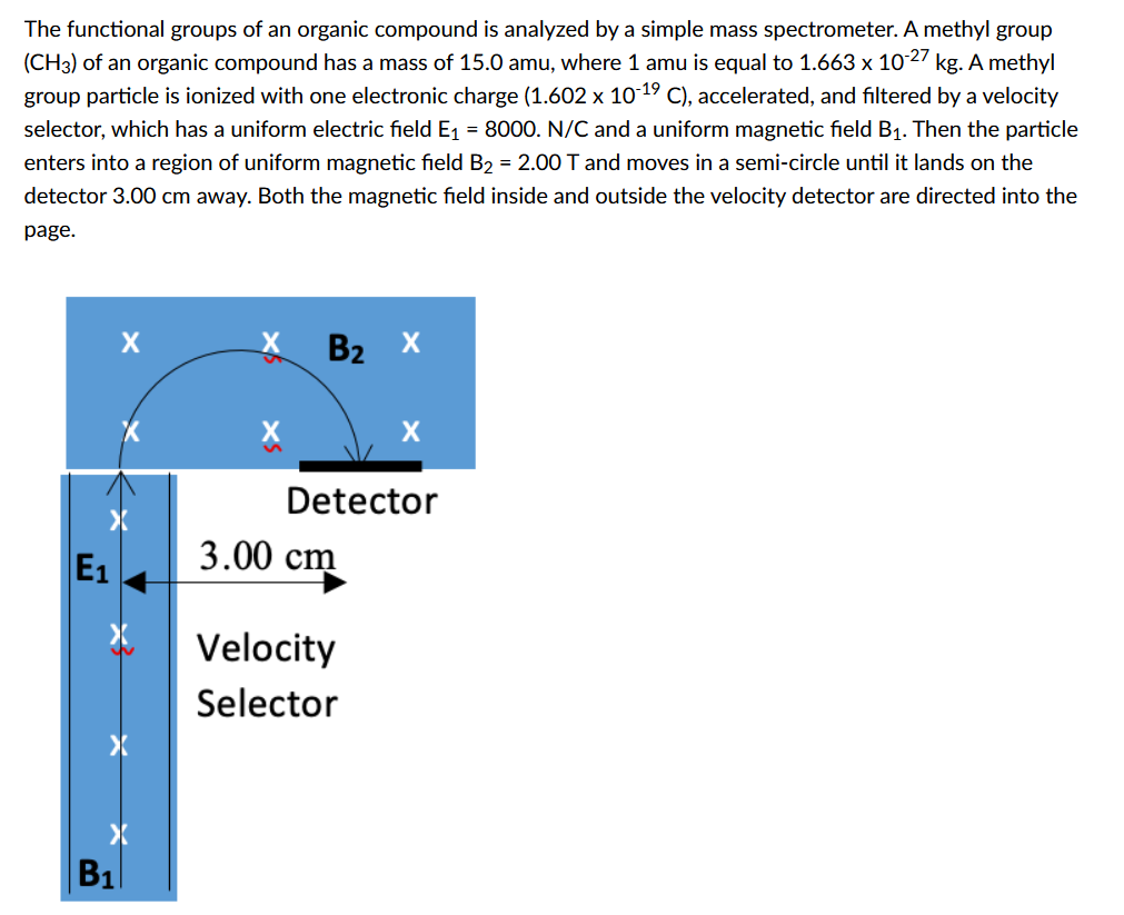 The functional groups of an organic compound is analyzed by a simple mass spectrometer. A methyl group
(CH3) of an organic compound has a mass of 15.0 amu, where 1 amu is equal to 1.663 x 10-27 kg. A methyl
group particle is ionized with one electronic charge (1.602 x 10-19 C), accelerated, and filtered by a velocity
selector, which has a uniform electric field E₁ = 8000. N/C and a uniform magnetic field B₁. Then the particle
enters into a region of uniform magnetic field B₂ = 2.00 T and moves in a semi-circle until it lands on the
detector 3.00 cm away. Both the magnetic field inside and outside the velocity detector are directed into the
page.
X B₂
X
E₁
X
B₁
Detector
3.00 cm
Velocity
Selector