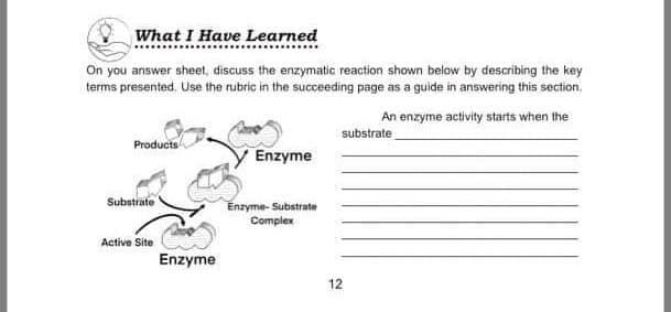 What I Have Learned
On you answer sheet, discuss the enzymatic reaction shown below by describing the key
terms presented. Use the rubric in the succeeding page as a guide in answering this section,
An enzyme activity starts when the
substrate
Products
Enzyme
Subutrate
Enzyme- Substrate
Complex
Active Site
Enzyme
12
