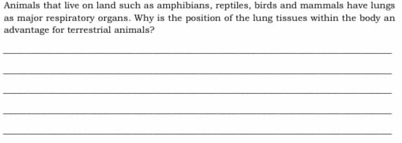 Animals that live on land such as amphibians, reptiles, birds and mammals have lungs
as major respiratory organs. Why is the position of the lung tissues within the body an
advantage for terrestrial animals?
