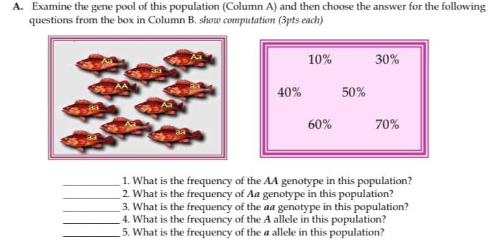 A. Examine the gene pool of this population (Column A) and then choose the answer for the following
questions from the box in Column B. show computation (3pts each)
10%
30%
aa
40%
50%
aa
60%
70%
1. What is the frequency of the AA genotype in this population?
2. What is the frequency of Aa genotype in this population?
3. What is the frequency of the aa genotype in this population?
4. What is the frequency of the A allele in this population?
5. What is the frequency of the a allele in this population?
