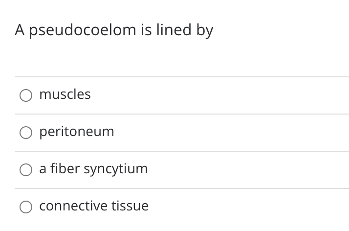 A pseudocoelom is lined by
muscles
peritoneum
a fiber syncytium
connective tissue
