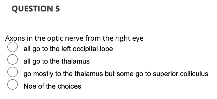 QUESTION 5
Axons in the optic nerve from the right eye
O all go to the left occipital lobe
O all go to the thalamus
go mostly to the thalamus but some go to superior colliculus
Noe of the choices