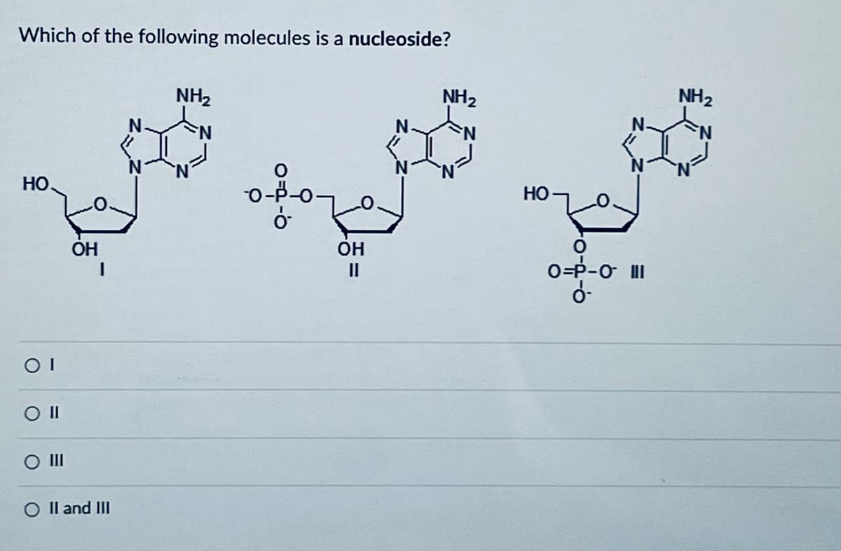 NH2
Which of the following molecules is a nucleoside?
NH2
HO.
OH
OH
II
○
II and III
HO
O
O=P-0- III
NH2