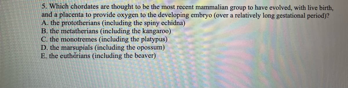 5. Which chordates are thought to be the most recent mammalian group to have evolved, with live birth,
and a placenta to provide oxygen to the developing embryo (over a relatively long gestational period)?
A. the prototherians (including the spiny echidna)
B. the metatherians (including the kangaroo)
C. the monotremes (including the platypus)
D. the marsupials (including the opossum)
E. the euthdrians (including the beaver)
